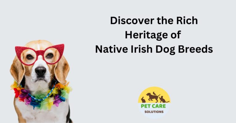 Native Irish Dog Breeds